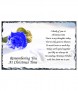  - Click to Zoom