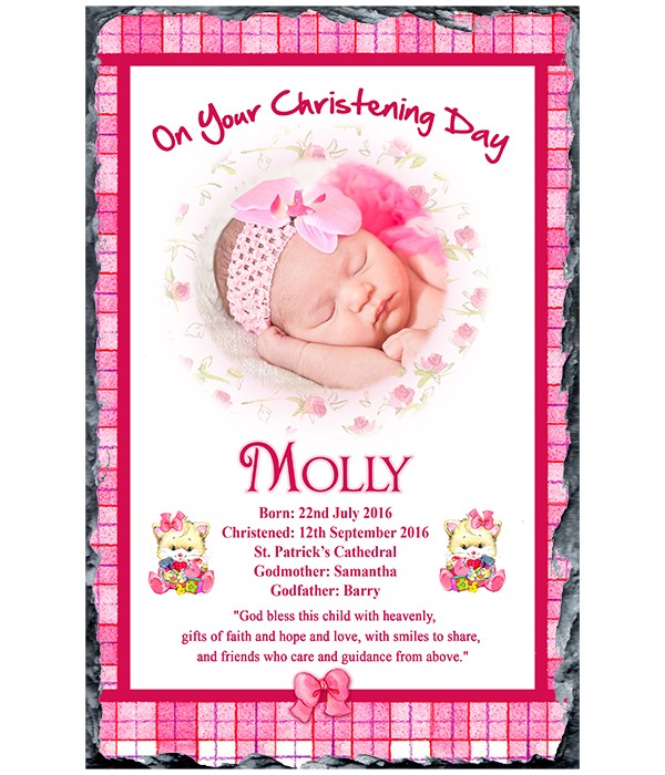 Kitten Roses & Bows Photo Pink Slate