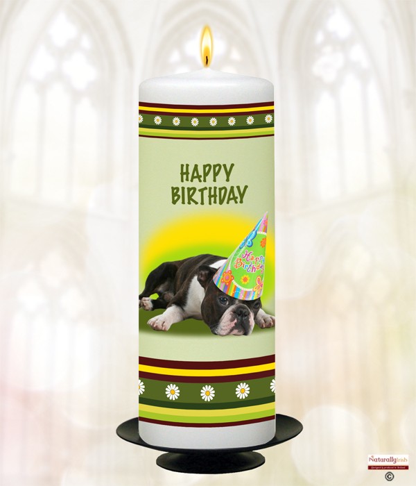 Birthday Fred B Candle (White) 9 inch