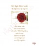 Red Roses & Gold Rings Wedding Candles (Ivory) - Click to Zoom