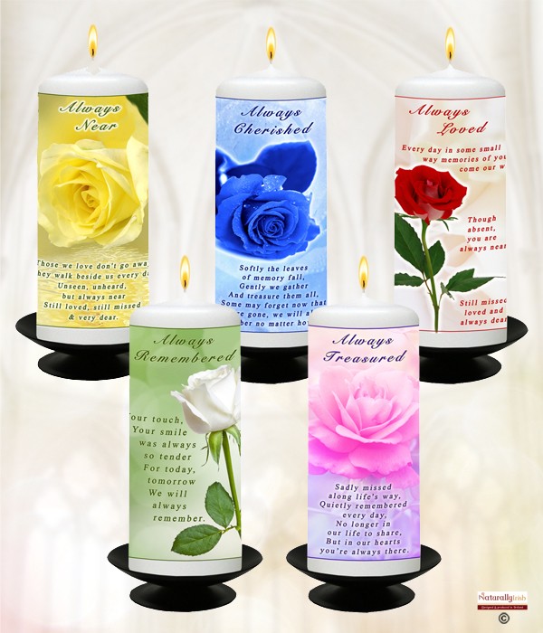 Remembrance Roses Range Mixed Box of 20