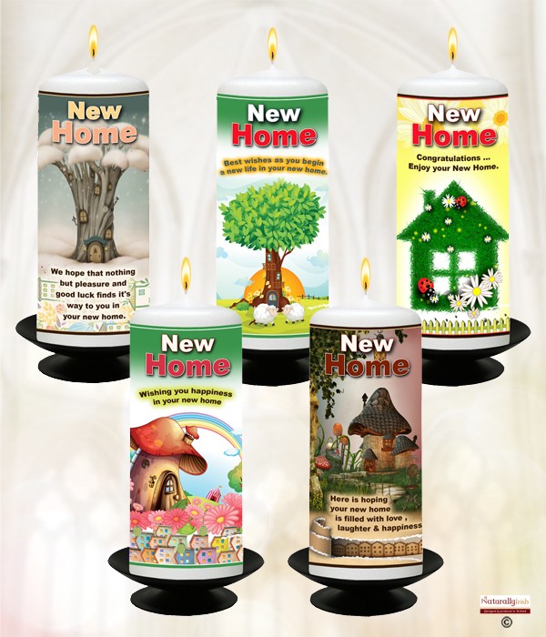 New Home Range Mixed Box of 20