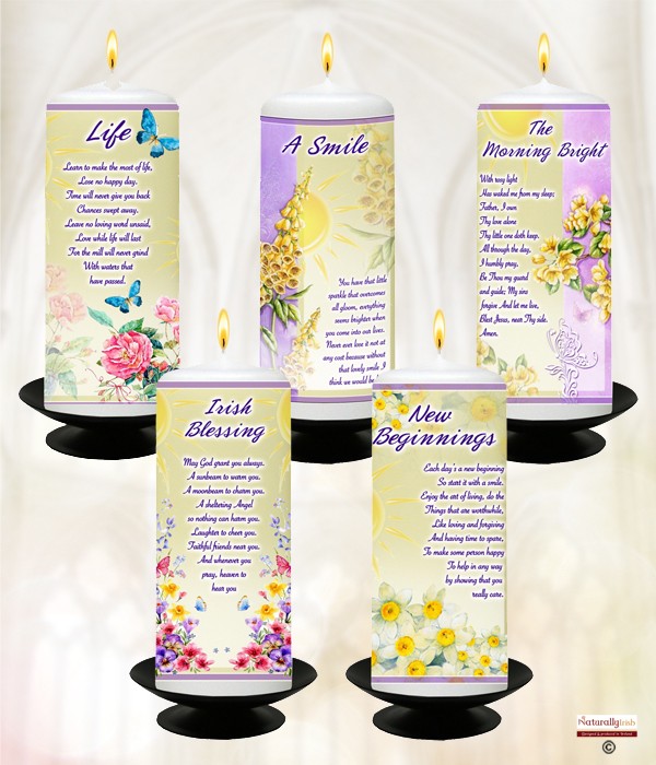 Inspirational Sunlight Range Mixed Box of 20