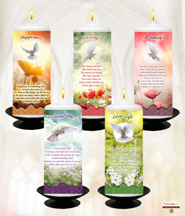 Inspirational Dove Range Mixed Box of 20