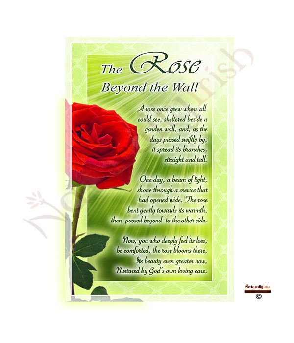 The Rose Beyond Garden Wall Fasci Garden