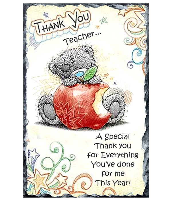 Thank You Teacher - Cuddle Bear Slate