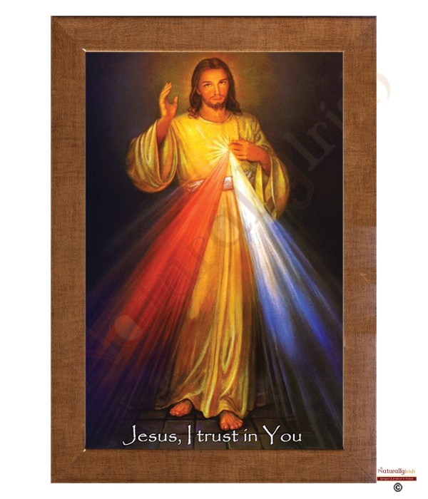 Devine Jesus Colour - Jesus I Trust in You RM Frame
